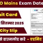 SBI PO Mains Admit Card 2025 Link